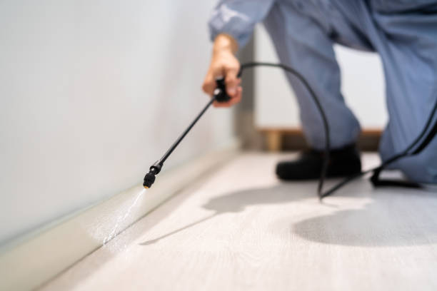 Licensed Pest Control service in El Cerro, NM - Show Me Pest Control