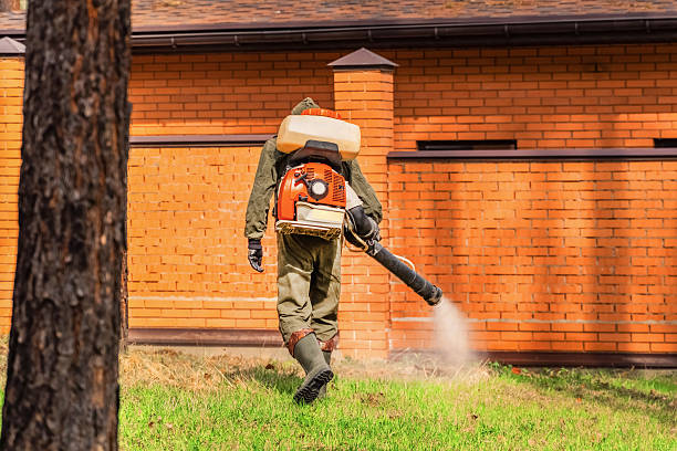 Bed Bug Clearance Verification and Documentation in El Cerro